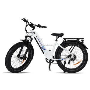 미국 창고 전용 48v ebike 배터리 최고의 느낌의 전기 자전거 구매자