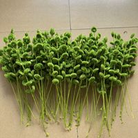 T-FT122  Pembersih Pipa Grosir, Daun Eucalyptus Hijau Alami, Batang Terpilin Buatan Tangan, Daun Tanaman Hijau