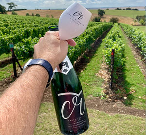 Copas de champán personalizadas para fiesta, vasos de plástico para <span class=keywords><strong>vino</strong></span> tinto en color blanco/<span class=keywords><strong>Rosa</strong></span>/dorado, gran oferta - Product Image 6