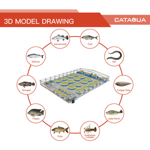 Système d'aquaculture intensif en <span class=keywords><strong>eau</strong></span> <span class=keywords><strong>de</strong></span> <span class=keywords><strong>mer</strong></span> pour ferme piscicole intérieure, système RAS, aquaculture en recirculation - Product Image 4