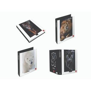 PIGNA - MONDIEUDE LA NATURE A4 Dossier à anneaux assorti - Product Image 1