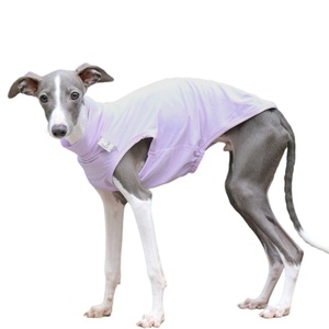 Gilet de protection solaire estival pour chien de type Greyhound <span class=keywords><strong>italien</strong></span> et Whippet, en polyester moderne, avec capuche, anti-salissures, pour les sorties et Halloween - Product Image 2