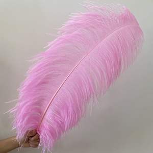 Besar 70-75 cm dicelup bulu burung unta halus pola diputihkan untuk kostum karnaval & Showgirl hiasan kepala aksesoris - Product Image 2