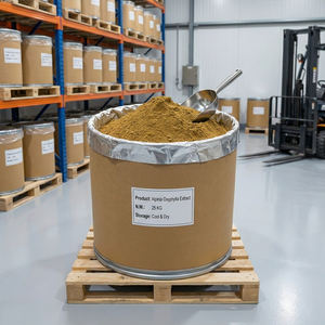 Extrait naturel d'Alpinia Oxyphylla à haute teneur en saponines Yizhirenone, poudre alimentaire chauffante pour la rate et nourrissante pour les reins, 1 kg - Product Image 4