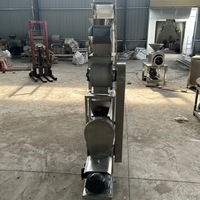Presse-agrumes spirale automatique industrielle grande capacité à essence avec séparation de la pulpe pour gingembre, ananas, pommes, usage commercial