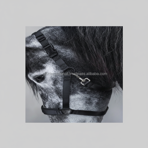 Licol de cheval en nylon noir fait à la main, solide et durable, fait à la main, avec quincaillerie réglable. - Product Image 1