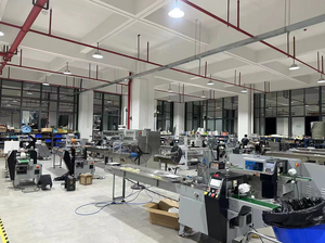 Sucette glacée <span class=keywords><strong>de</strong></span> blister <span class=keywords><strong>de</strong></span> chocolat entièrement automatique pour l'emballage <span class=keywords><strong>de</strong></span> flux <span class=keywords><strong>de</strong></span> raviolis du Sri Lanka - Product Image 4