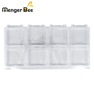 ชุดกล่องใส่รังผึ้ง PET แบบใส รุ่นอัพเกรด Menger Bee ครบชุด 8 ชิ้น พร้อมเฟรม Langstroth ใหม่ รับประกัน 1 ปี สำหรับใช้ในบ้าน - Product Image 3
