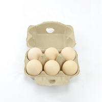 Six Pack Détient 6 Cellules Jumbo Oeufs Boîte D'emballage Biodégradables Papier Oeufs de Caille Emballage Plateau Boîte Cartons
