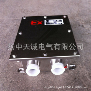 Caja de Conexiones a Prueba de Explosiones de Acero Inoxidable IP65 para Ubicaciones Peligrosas, Fabricada en Yangzhong - Product Image 2