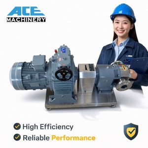 Ace Customizable Oem Support 304 & 316 Inox Stainless Steel Rotary Lobe Pump Food Grade Sanitary for Filling Machine - Product Image 4