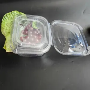 批发外卖塑料宠物包装8/12/16/24/32/48盎司一次性翻盖沙拉碗透明盒水果