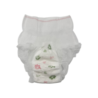 Culottes menstruelles jetables hygiéniques pour adultes, culottes de règles, culottes menstruelles, couches hygiéniques pour femmes