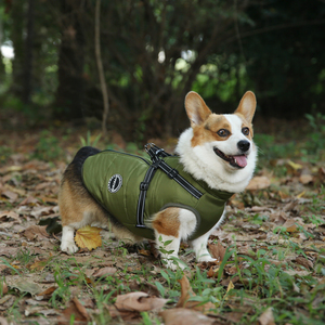 Abrigo de secado de invierno personalizado, ropa para mascotas, chaleco reflectante impermeable para gatos, fabricación cálida de lujo, ropa para perros al aire libre - Product Image 5