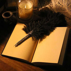 Dizüstü Retro kuş 3D kabartma zanaat GTB02J karga sihirli kitap Krusu tarafından kalınlaşmış dizüstü - Product Image 6