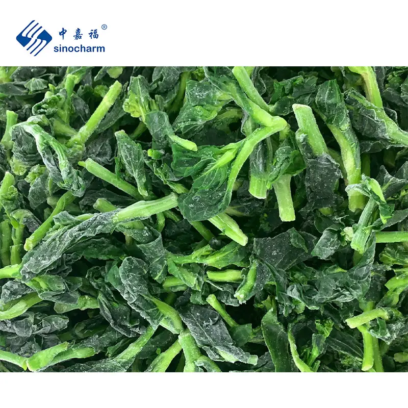 Sinocharm HACCP新作物4-7cmIQF新鮮野菜製造卸売価格10kg冷凍菜の花