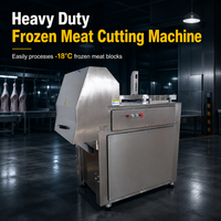 Nouvelle machine à découper la viande congelée HUAGANG (acier inoxydable 304) pour la transformation du bœuf, du porc, du poulet et du poisson