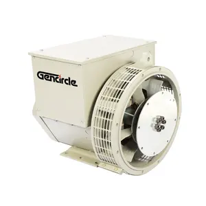 Generador Dynamo de 10kva 20kva 30kva 40kva 50kva 100kva con Alternador de Escobillas o Sin Escobillas - Product Image 1