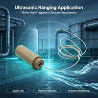 Transducteur résistant à la corrosion 49 kHz, matériau PEEK, sonde de mesure de distance industrielle, télémètre ultrasonique sans contact CE