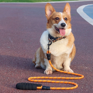 Correa de Nailon Reflectante para Perro con Mango Acolchado, Resistente, para Perros Pequeños, Medianos y Grandes, para Paseos al Aire Libre - Product Image 2
