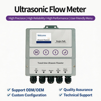 Débitmètre ultrasonique numérique à pince, écran LCD TFT 2,4 pouces, sortie relais impulsionnel 4-20 mA, tuyaux DN25-DN2000, liquide/huile/fluide