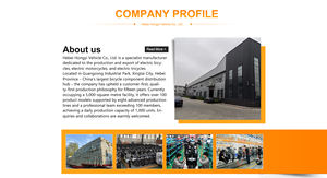 Bicicleta Eléctrica con Pedales y Batería Extraíble de Plomo-Ácido de 350W, Modelo 2021 para Adultos, Motor sin Escobillas, Doble Suspensión, Pantalla OLED, Gran Venta - Product Image 4