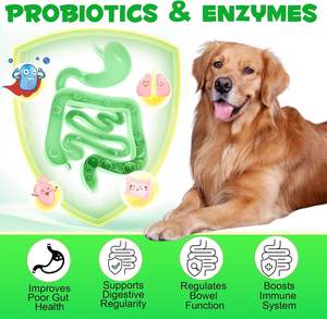 Probióticos para Perros con Prebióticos, Marca Privada OEM ODM, Promueve un Microbioma Intestinal Equilibrado, Refuerza la Salud Inmunológica, Masticables Blandos - Product Image 4