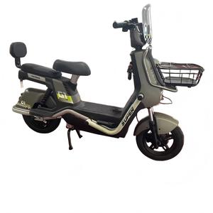 Bicicleta Eléctrica para Adultos de Alto Rendimiento de 60V 600W, 3 Velocidades, Motor sin Escobillas, Digital, Potente, de Largo Alcance, con el Mejor Precio, Zhanjia High-Pe - Product Image 4