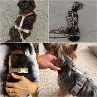 Harnais pour chien en coton personnalisé 2026 – Confortable, anti-traction, réglable – Ensemble laisse et collier pour animaux de compagnie – Fabricant