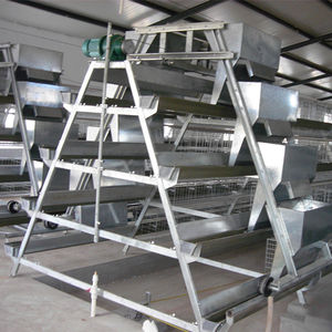 Özelleştirilmiş boyutu ucuz endüstriyel tabaka tavuk kümesi - Product Image 1