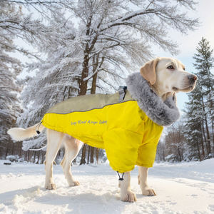 Produsen grosir mantel anjing tahan air hangat dengan kerah bulu kelinci - Product Image 4