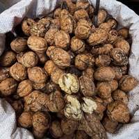 Nueces de Color Dorado, Origen Yunnan, Calidad Premium, Muestras Gratis, Suministro al por Mayor, Cuatro Estaciones, Apoyo a Negocios Locales, Dieta a Base de Plantas