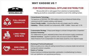 LEVIN Inverter portabel tegangan ganda, 110/220V IGBT Stick/Arc Las 200A las busur logam Manual dengan angkat <span class=keywords><strong>DC</strong></span> TIG - Product Image 4