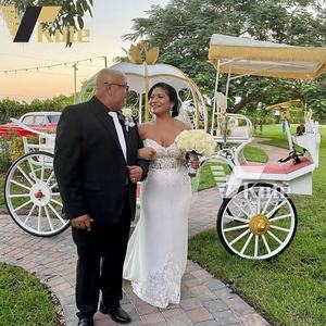 Chariot de Cendrillon électrique pour événement de mariage - Product Image 1