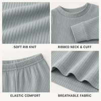 Pyjamas pour bébé à manches longues, hauts et pantalons, en coton biologique respirant, ensembles de vêtements pour enfants, ensembles de vêtements unisexes pour bébé fille, de 3 à 6 mois