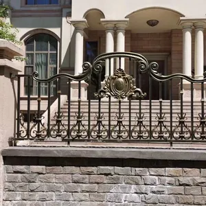 Recinzione metallica del pannello del balcone del giardino dell'acciaio galvanizzato di progettazione della ringhiera del ferro battuto