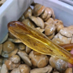 All'ingrosso naturale grezzo ambra ruvida esemplari semi pietra preziosa ambra prezzi per la vendita - Product Image 3