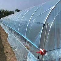Serre tunnel à simple travée galvanisée à chaud avec film plastique agricole pour la culture de légumes et de fruits