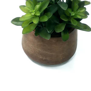Plante succulente artificielle en <span class=keywords><strong>laurier</strong></span> dans un pot en papier mâché, plante en faux jade, faux bonsaï succulent pour la décoration moderne de la maison et du bureau - Product Image 5