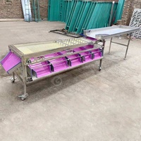 Industriële Pruimmaat Sortering Abrikozen Kokos Citrus Zure Kersenfruit Papaja Sorteermachine Voor Mangosteen
