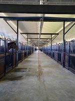 Vente flash : Écurie préfabriquée en acier galvanisé de Nouvelle-Zélande avec porte battante pour propriétaires de chevaux