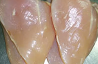 Poitrine de poulet congelée de qualité supérieure, sans os ni peau, pour prix de gros