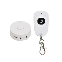 Módulo de Sonido Musical con Control Remoto Descargable, Batería de Litio Recargable por USB de 16 MB, Caja Grabadora de Voz para Peluches