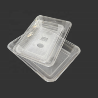 Plateau Gastronorm Rectangulaire en PET de Qualité Alimentaire à Spécifications Multiples pour Présentation Commerciale des Aliments en Cuisine Professionnelle