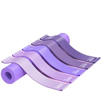 Kit de Yoga et Pilates Professionnel avec Logo Personnalisé : Anneau de Pilates, Ballon de Pilates, Lest de Cheville, Bandes de Résistance en Tissu et Ballon de Yoga
