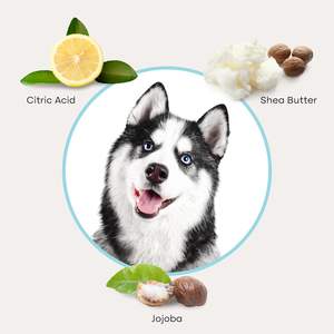 Gants de nettoyage pour chiens personnalisés nettoyage facile <span class=keywords><strong>lingettes</strong></span> pour animaux de compagnie pour <span class=keywords><strong>chien</strong></span> chat toilettage gants pour tissus humides - Product Image 3