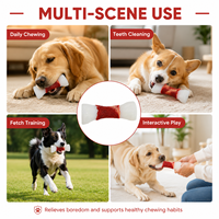Jouet pour chien en nylon en forme d'os, résistant, non toxique, 275g, nettoyage des dents, soins dentaires