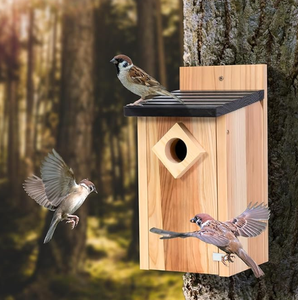 Ağaç asılı ahşap su geçirmez Bluebird evleri Mini kuş kınamak için açık havada sprey boya tedavisi klasik <span class=keywords><strong>Birdhouse</strong></span> yuvalama kutusu - Product Image 2