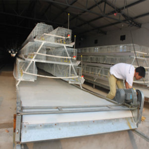 Sistema di Gabbie Automatiche per Galline Ovaiole per 10.000 Polli, Tipo A, per Allevamenti Avicoli in Tanzania - Product Image 5