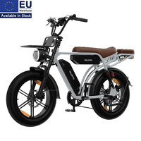 Vélo cargo électrique utilitaire M9 20 X 4.0 avec moteur arrière, double batterie, panier, porte-bagages et deux places, vélo polyvalent